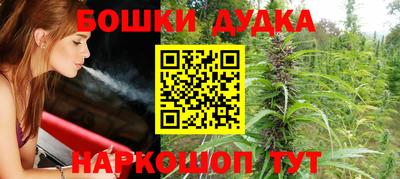 индика Бузулук